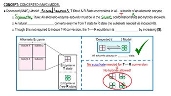 Concerted (MWC) Model