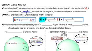 Enzyme Inhibition