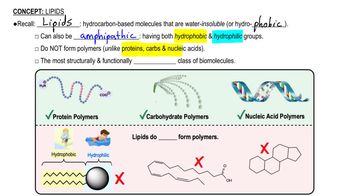 Lipids