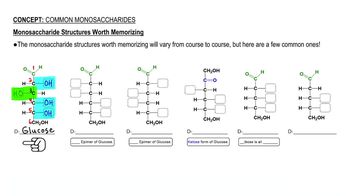 Common Monosaccharides