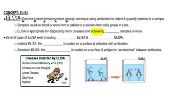 ELISA