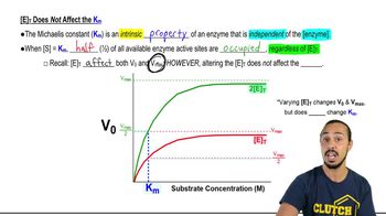 What is the initial velocity of a reaction when the concentration ...