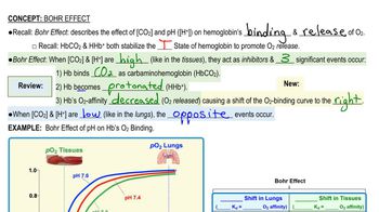 Bohr Effect