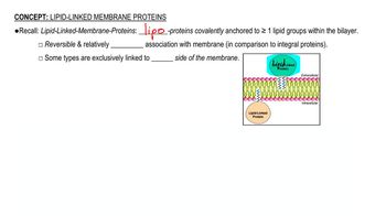 Lipid-Linked Membrane Proteins