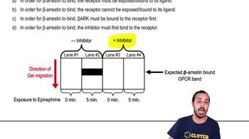 Inhibitory Adenylate Cyclase GPCR Signaling Example 1 