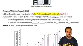 Edman Degradation Sequenator and Sequencing Data Analysis