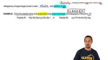 Anion-Exchange Chromatography Example