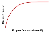 Graph showing reaction rate plateauing as enzyme concentration increases.