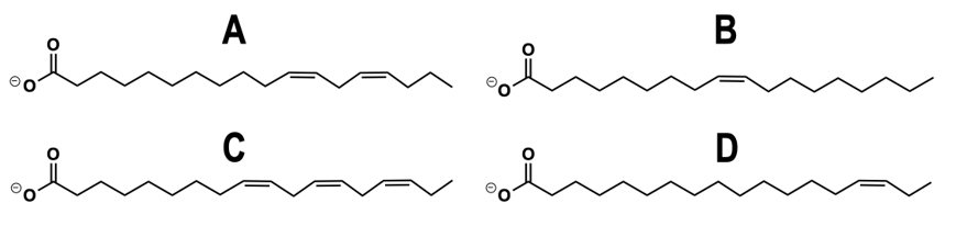 Four structures labeled A, B, C, D, showing different fatty acid configurations for omega-3 identification.