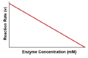 Graph showing reaction rate decreasing as enzyme concentration increases.