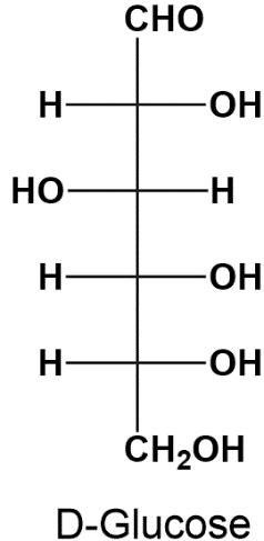 Structural formula of D-Glucose, illustrating its monosaccharide configuration.