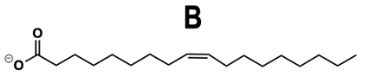 Structure B of a fatty acid with a double bond, labeled B, for omega-3 identification.