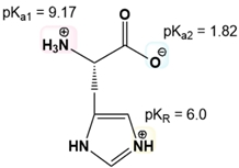 Chemical structure of histidine showing pKa values for ionizable groups.