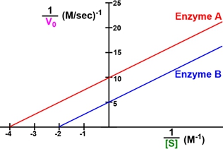 Lineweaver-Burk plot comparing Enzyme A and Enzyme B for substrate concentration of 0.001 M.