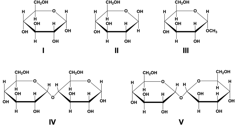 Structural formulas of five sugars labeled I to V for mutarotation discussion in biochemistry.