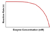 Graph showing reaction rate approaching a plateau as enzyme concentration increases.