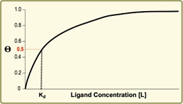 Graph showing receptor occupancy versus ligand concentration, indicating Kd at 50% occupancy.