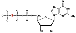 Chemical structure of GTPγS, a nonhydrolyzable GTP analog used in cell culture.