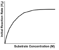 Graph showing initial reaction rate versus substrate concentration, illustrating enzyme saturation.