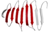 Illustration of β-strands in red and white, depicting a supersecondary structure.