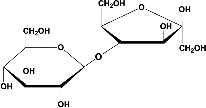 Chemical structure of a disaccharide showing glycosidic bonds for biochemistry course.