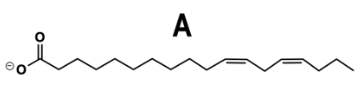 Structure A of a fatty acid with a double bond, labeled A, for omega-3 identification.