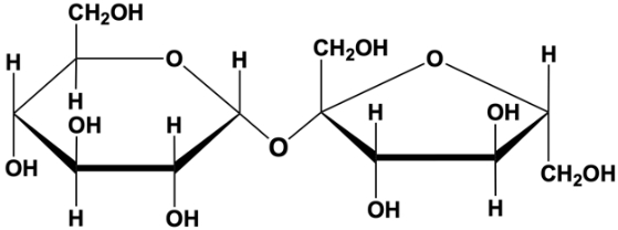 Chemical structure showing a glycosidic bond between two sugar molecules in biochemistry.