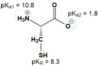 Chemical structure of cysteine showing pKa values for ionizable groups.