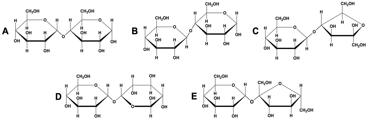 Structures of molecules A, B, C, D, and E for glycosidic bond question in biochemistry.