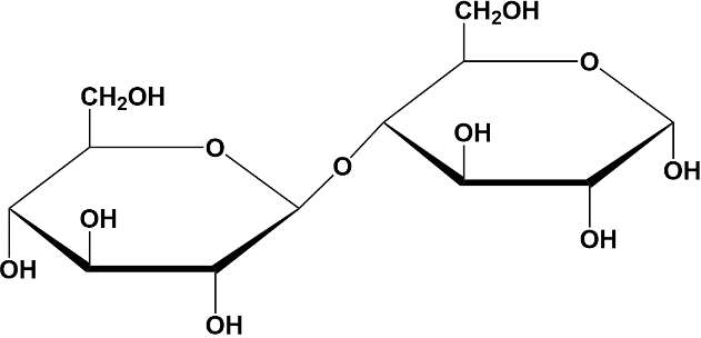 Chemical structure of a disaccharide showing two sugar rings and their linear chain forms.