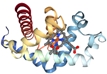 3D structure of a conjugated protein with a metal ion and complex folding.