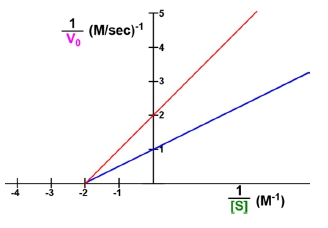 Lineweaver-Burk plot showing enzyme kinetics with red and blue lines indicating different enzymes.