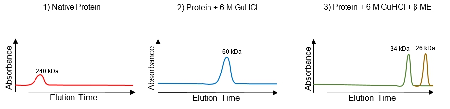 Graph showing absorbance peaks for native protein, 60 kDa, and 34 kDa & 26 kDa after treatments.