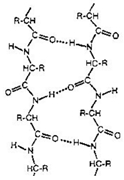 Diagram showing alpha helix and parallel and antiparallel beta sheets in protein structure.