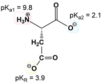 Chemical structure of Aspartic acid with pKa values labeled for calculating its isoelectric point.