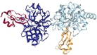 3D structure of a conjugated protein with multiple colors and complex folding.