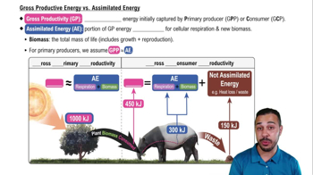 Gross Productive Energy vs. Assimilated Energy