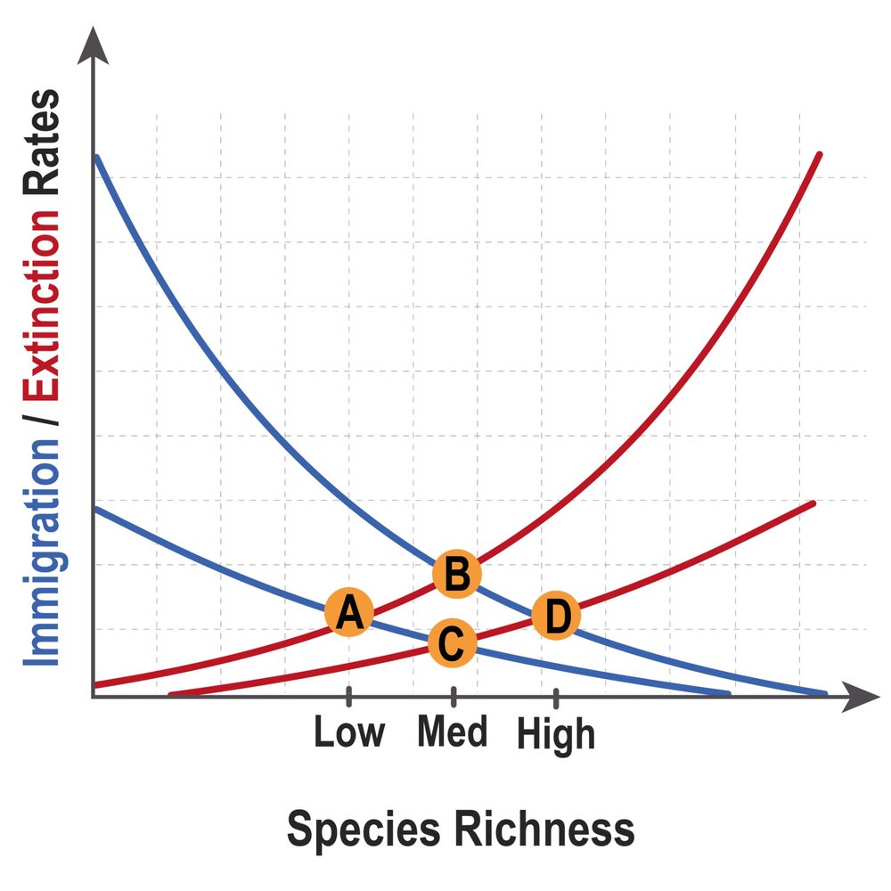 Graph showing immigration and extinction rates against species richness with points A, B, C, D marked.