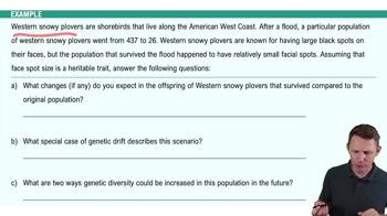 Genetic Drift Example 2