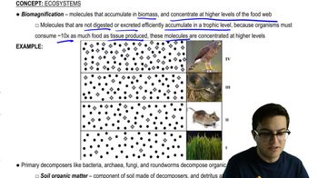 Biomagnification and Decomposers