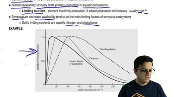 Limiting Factors to Primary Production