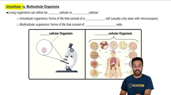 Unicellular vs. Multicellular