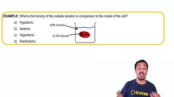 Osmosis Example 1