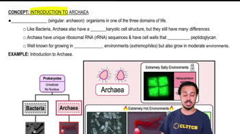 Introduction to Archaea