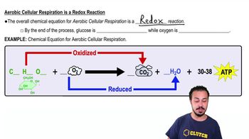 Aerobic Cellular Respiration is a Redox Reaction