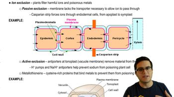 Ion Exclusion