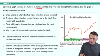 Extinctions Example 1