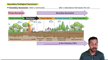 Secondary Ecological Succession