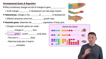 Developmental Genes & Regulation