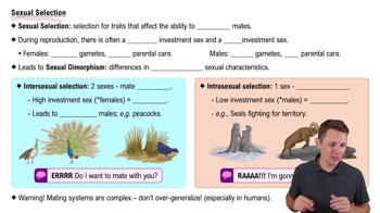 Sexual Selection